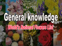 national flowers