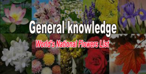 national flowers