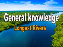 longest rivers in the world