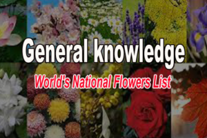 national flower